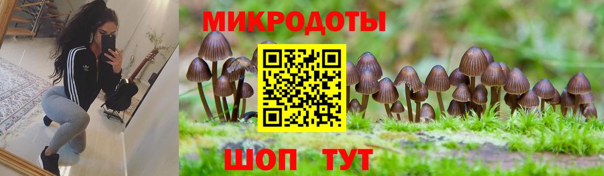 Галлюциногенные грибы GOLDEN TEACHER Семилуки